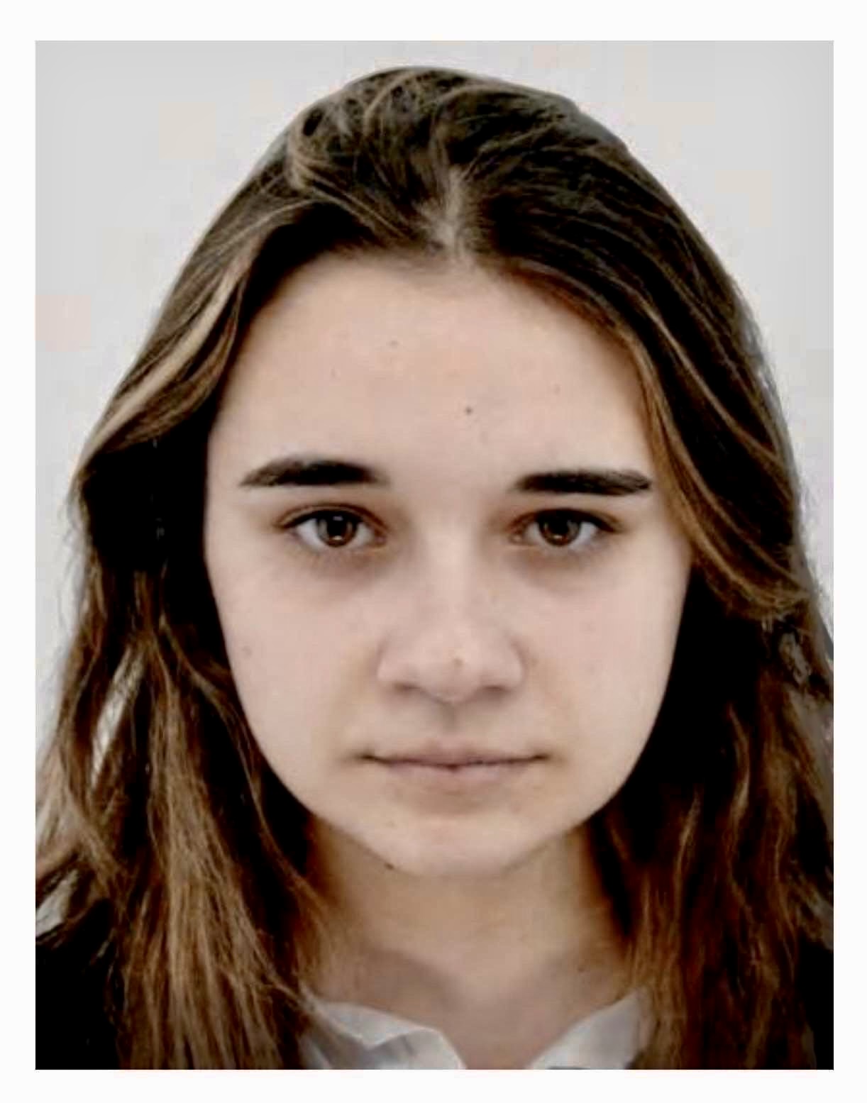 1. An identity photo (jpg or png format)