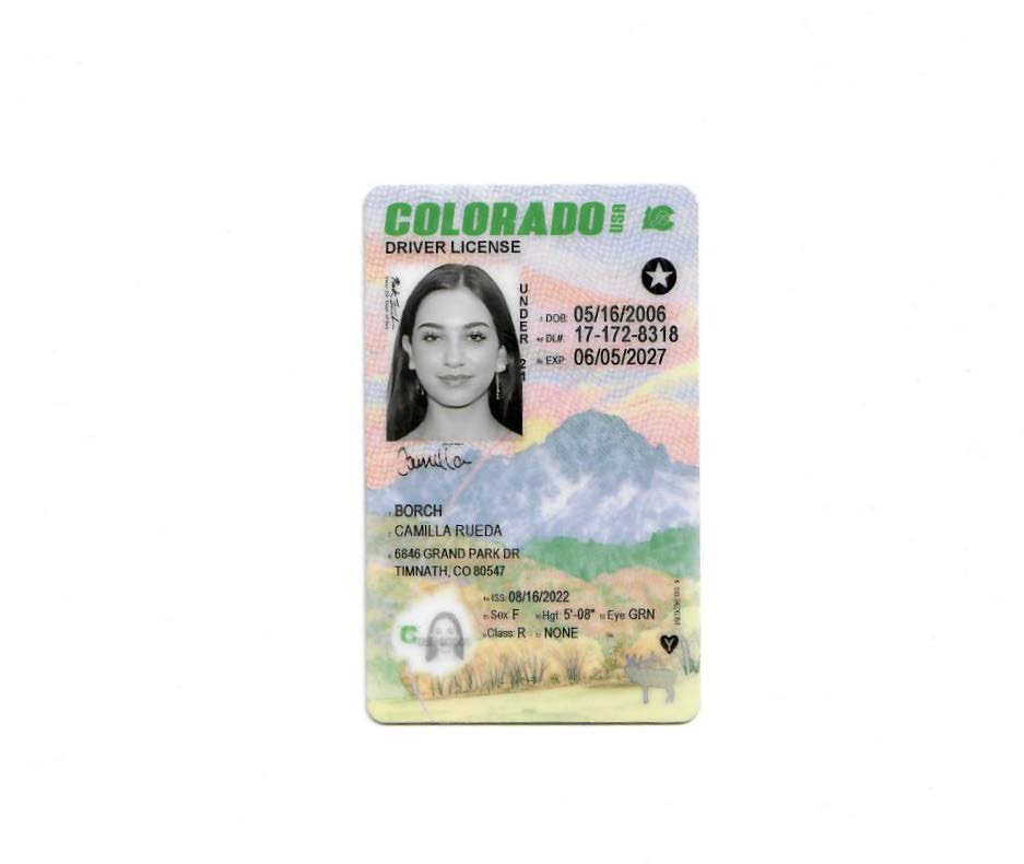 1. An identity photo (jpg or png format)