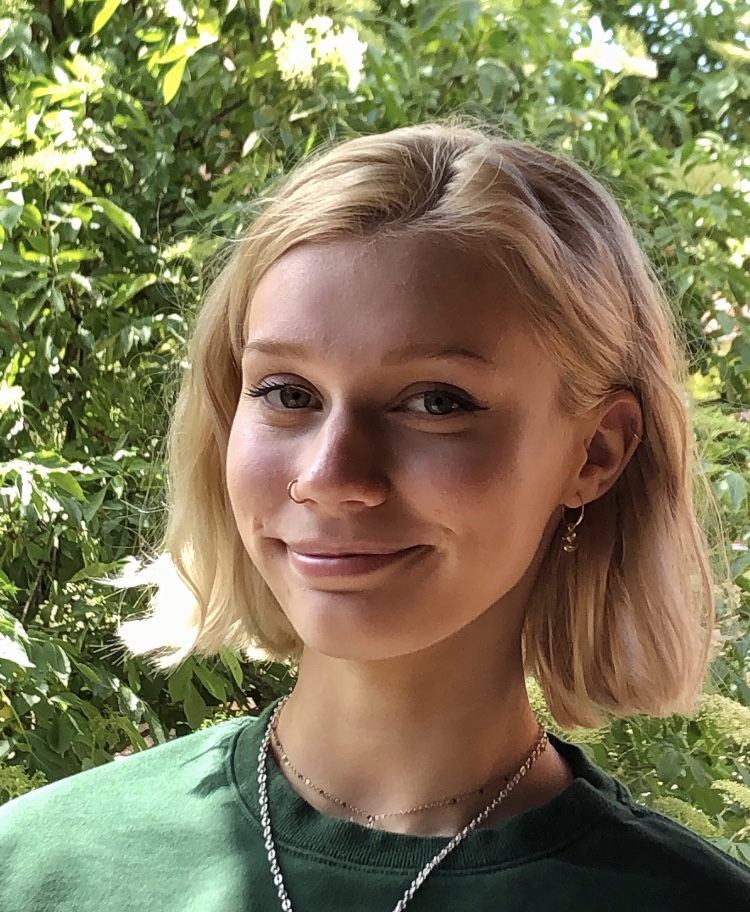 1. An identity photo (jpg or png format)