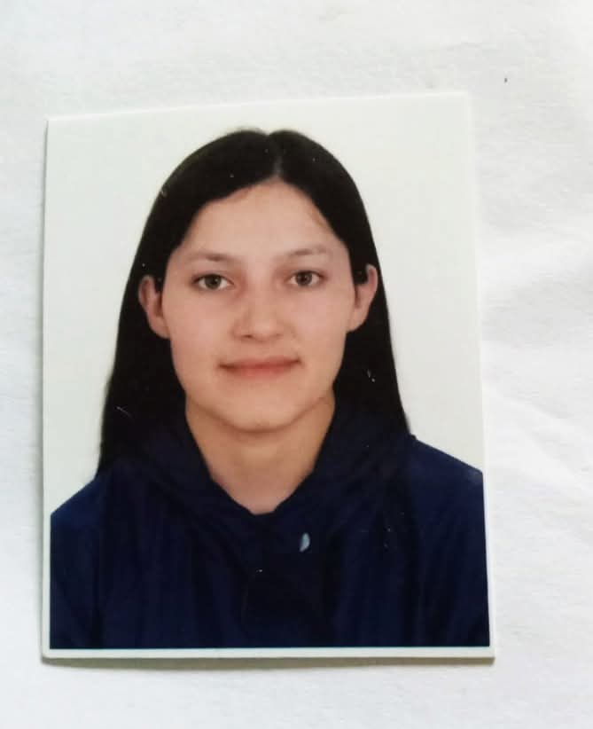 1. An identity photo (jpg or png format)
