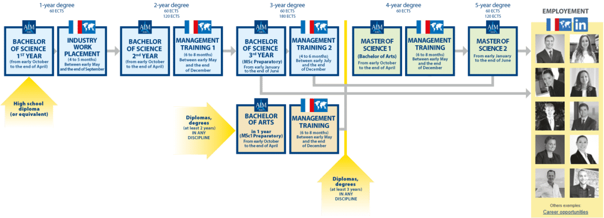 Organization of higher education programs at AIM