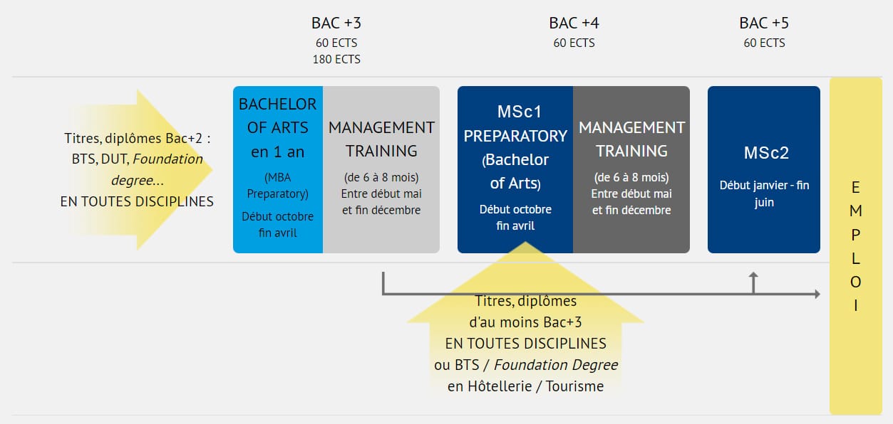 bachelor-of-arts-organigramme2026